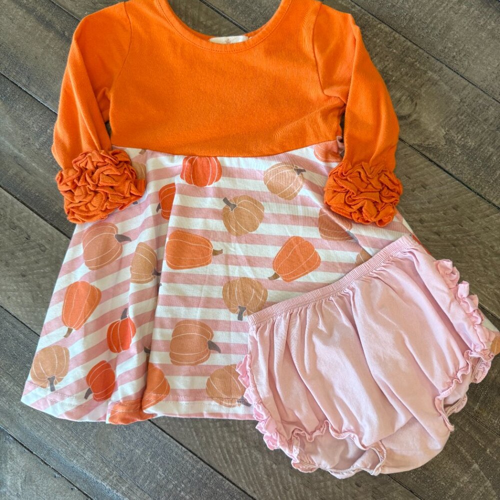 18 MO Dress and Skirted Bodysuit Bundle with 3 Outfits